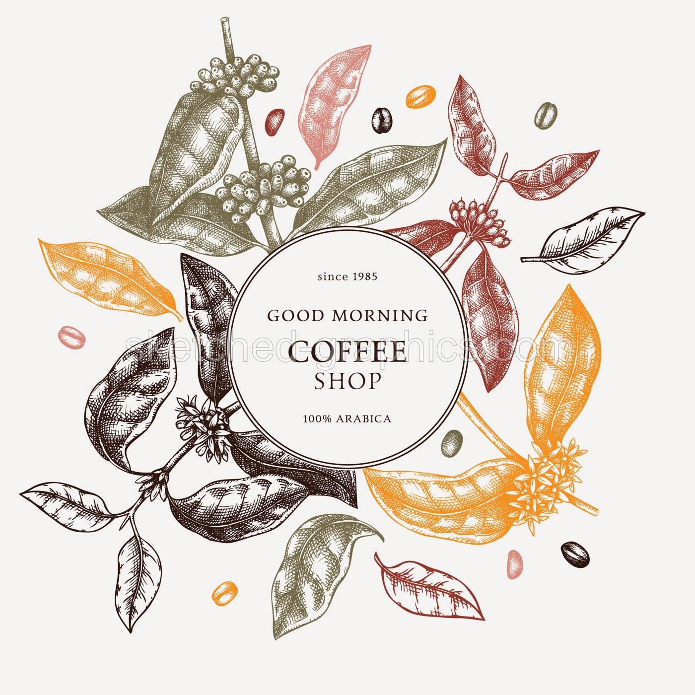 Hand sketched coffee wreath design in color. Perfect for recipe, menu, label, icon, packaging. Vintage coffee plant template with leaves, beans and flowers. Bar menu elements. Botanical illustration Illustration